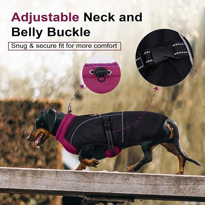Lelepet Dachshund Coat Warm Dog Winter Coat Waterproof Dog Jacket with Fleece Lining, Reflective Outdoor Dachshund Snowsuit with Leash Hole Adjustable Neckline,Coats for Small Medium Dogs,Purple, L