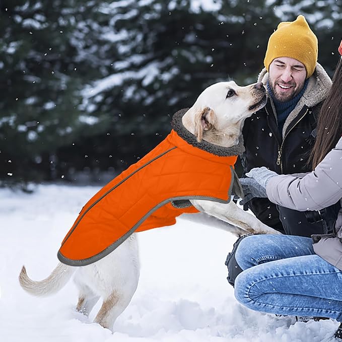 Fragralley Dog Coat Medium, Waterproof Dog Jacket with Warm Fleece Lining, Adjustable Reflective Dogs Winter Coat, Turtleneck Pet Coats for Cold Weather (Orange M)
