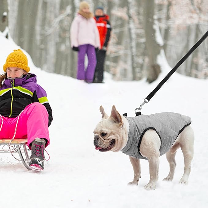 SCENEREAL Winter Dog Vest Coat with Harness Built In, Warm Puppy Jacket for Small Medium Dogs, Cold Weather Coat with Zipper, Fleece Puffer Vest Windproof Snow Clothes
