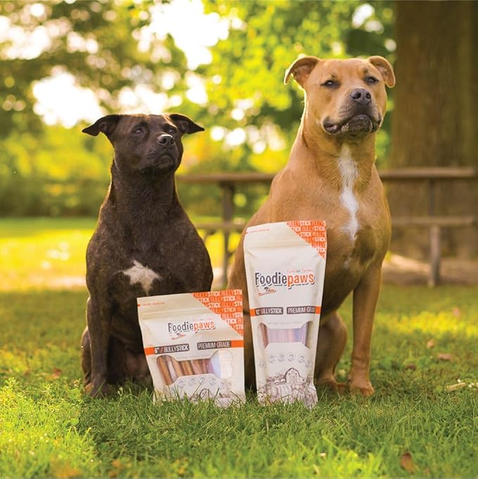 FOODIEPAWS 6 Inch Jumbo Bully Sticks for Dogs, 10 Pack | All Natural, Grass-Fed Beef | Extra Thick, Rawhide-Free & Fully Digestible Chews | Odor-Free, Long Lasting Dog Treats for Medium & Large Breeds
