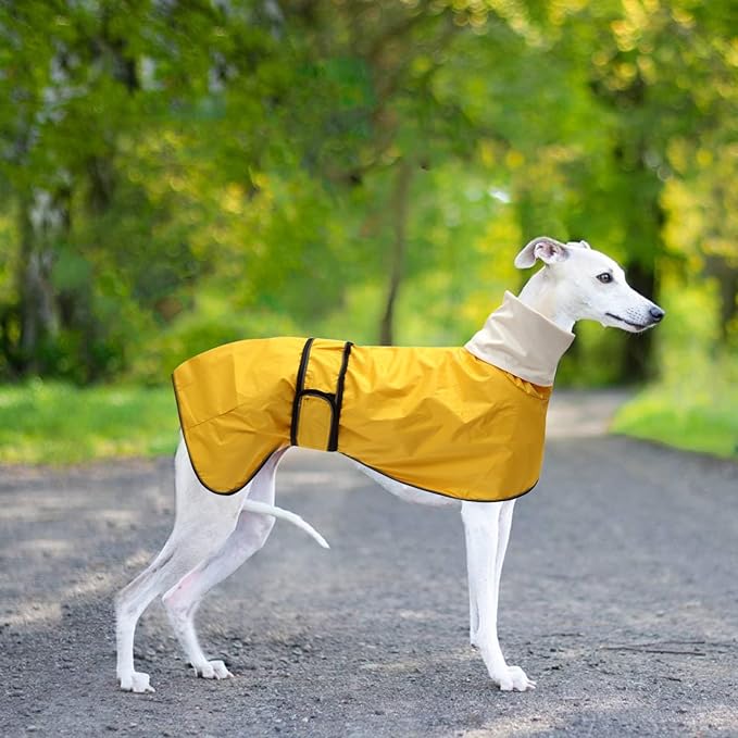 Dog Raincoat with Reflective Bar, Rain/Water Resistant, Adjustable Vest - Dog Raincoats for Greyhounds, Lurchers and Whippets - Yellow - XXL