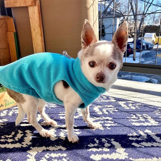 Gooby Fleece Vest Dog Sweater - Turquoise, Large - Warm Pullover Fleece Dog Jacket with O-Ring Leash for Small to Medium Dogs