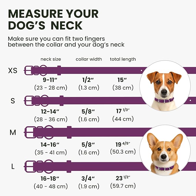 BRONZEDOG Rolled Leather Dog Collar for Small Medium Large Dogs with QR ID Tag (L: 16-18 Inch, Plum)