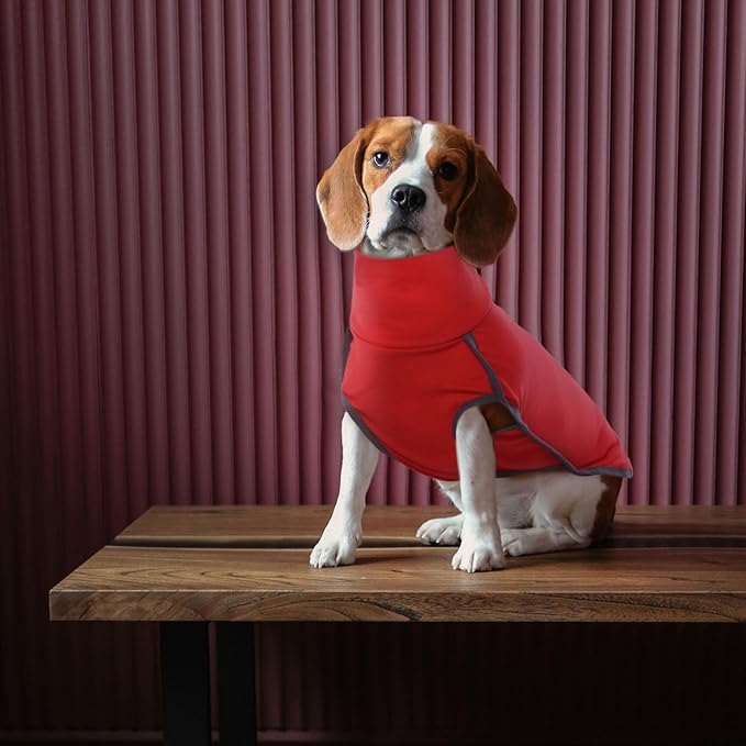 ROZKITCH Dog Winter Coat Soft Pullover Pajamas, Pet Windproof Warm Cold Weather Jacket Vest Cozy Jumpsuit Apparel Outfit Clothes for Xmas Walking Sleep BrightRed 3XL