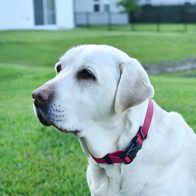 Dogline Biothane Waterproof Dog Collar with Quick Release Buckle Strong Coated Nylon Webbing with Odor- Proof for Easy Care Easy to Clean Fits Small Medium Large Dogs, Magenta Pink 1" W 15-23" L