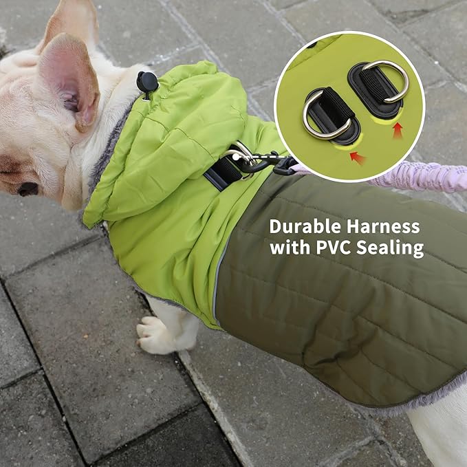 Detachable Hooded Dog Coat with Harness for Small Dogs,Super Warm Fleece Puppy Jacket for Cold Winter Doggie Coats,Green M