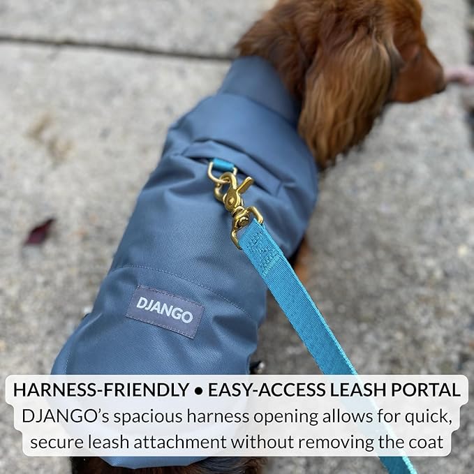 DJANGO Reversible Puffer Dog Coat – Warm Winter Dog Jacket & Water-Repellent Insulated Dog Coat with Harness Hole, Windproof, Adjustable Fit Vest for Small & Medium Dogs, Dachshunds – Black, Small