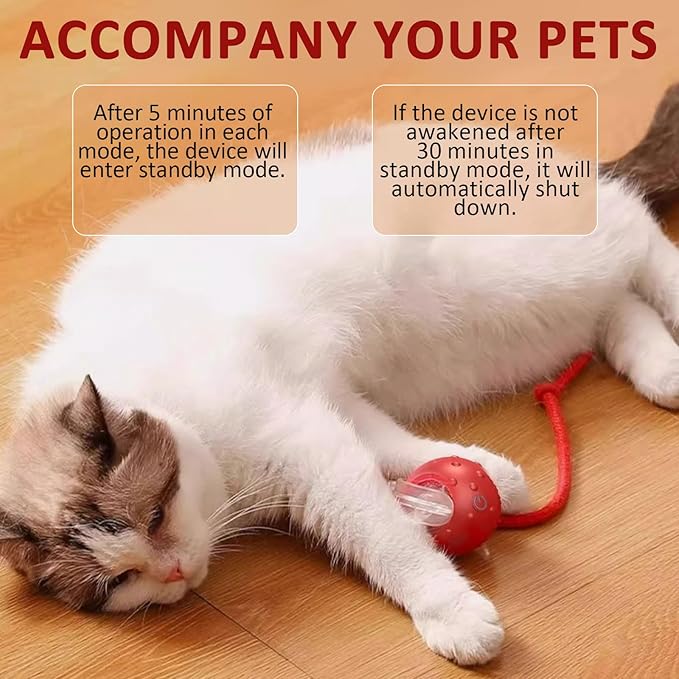 Dog Toy, 360° Rolling Interactive Ball Cat Toy with Realistic Bird Chirping Sounds, Fast Moving Balls Toys for Pets | Automatic Obstacle Avoidance, Rechargeable, Tough (Blue)