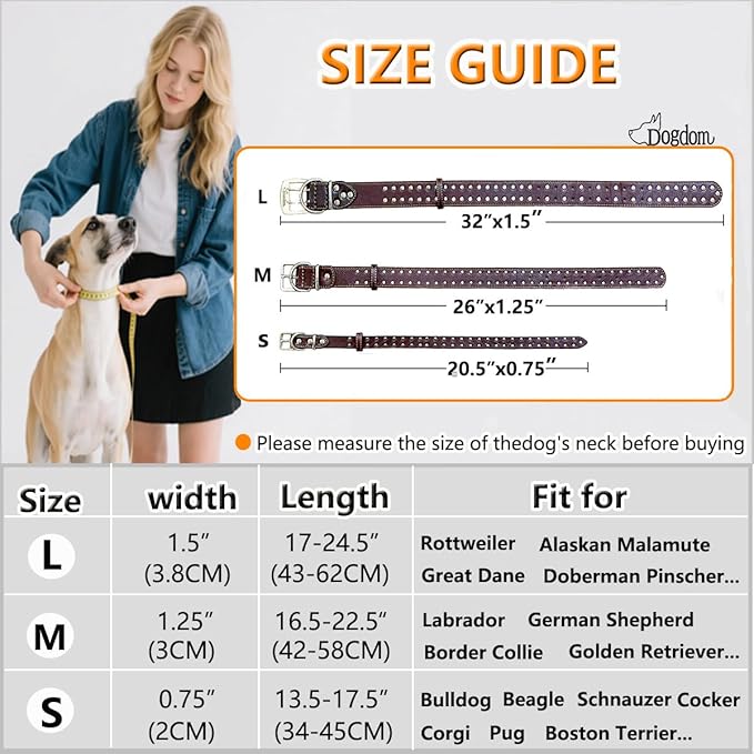 Studded Leather Dog Collar – Durable Adjustable Collar, Brown Large
