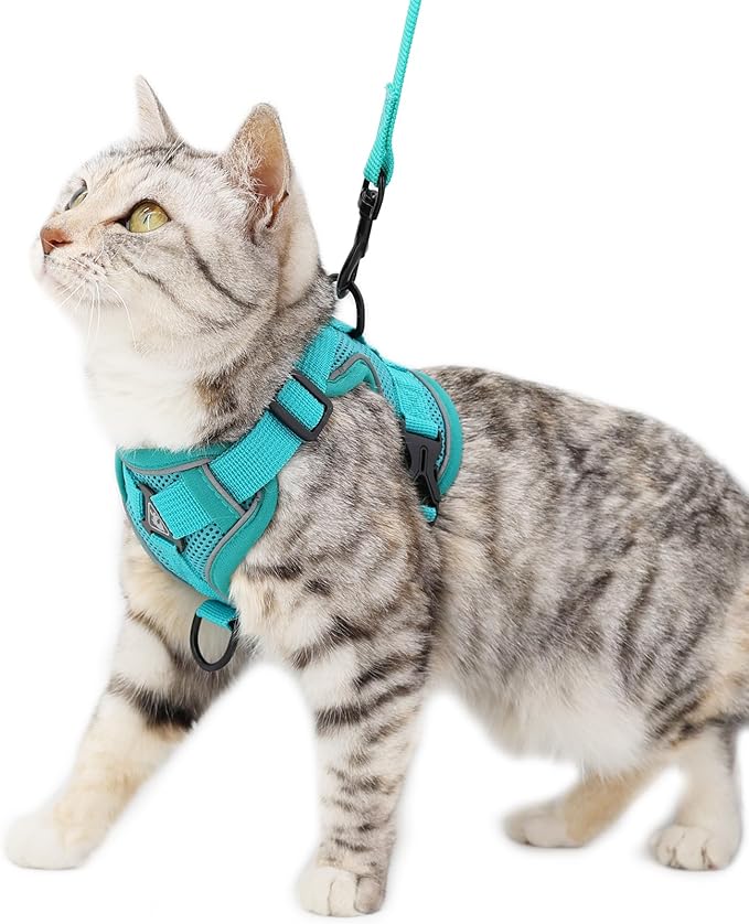 Cat Harness and Leash Set Escape Proof Tactical Large Kitten Harness Emotional Support Cat Vest, Turquoise, L