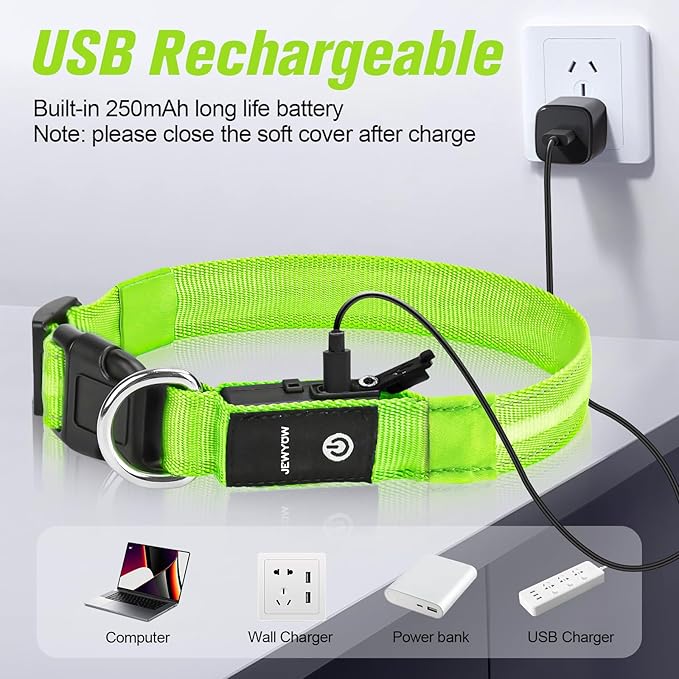 LED Dog Collar, Light Up Dog Collar, USB Rechargeable - Brightest Dog Lights for Night Walking, 6 Light Modes, Adjustable for Dog Safety(Medium, Neon Green)