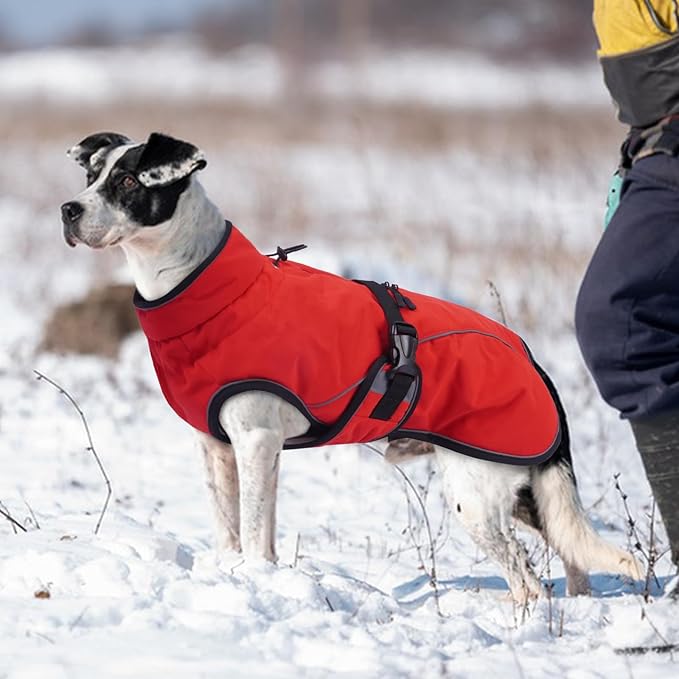 Warm Dog Coat for Winter,Waterproof Jacket with Zipper,Detachable Dog Coat with Adjustable Buckle,Comfortable Jacket for Dogs in Cold and Windy Days.2XL Red