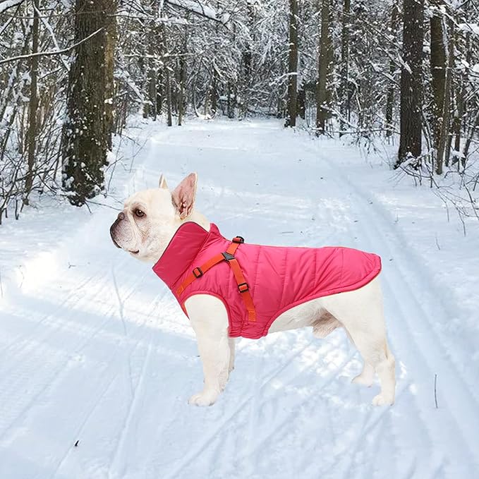 Geyecete Winter Warm Coat Waterproof Dog Winter Jacket with Harness Traction Belt,Windproof Pet Outdoor Jacket-Pink-XL