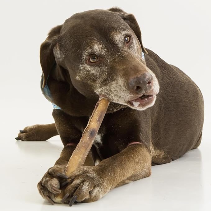 Best Bully Sticks Natural Jumbo Bully Sticks for Large Dogs - 6 Inch, 10 Count (Pack of 1) - 100% Free-Range Grass-Fed Beef, Single-Ingredient, Grain and Rawhide Free Long Lasting Dog Chews