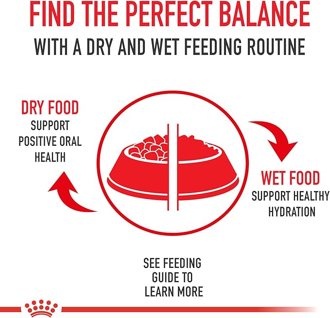 Royal Canin Canine Care Nutrition X-Small Weight Care Adult Dry Dog Food, 2.2 lb Bag