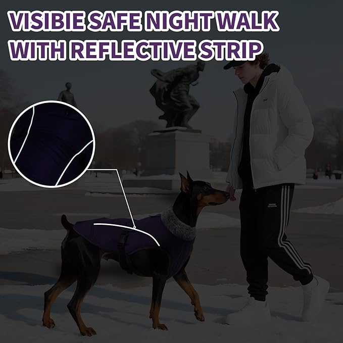 DENTRUN Dog Winter Coat - Windproof Reflective Jacket, Plush Turtleneck & Adjustable Belt, Water Repellent Fleece Lined Cold Weather Vest for Corgi Bulldog, Purple, L