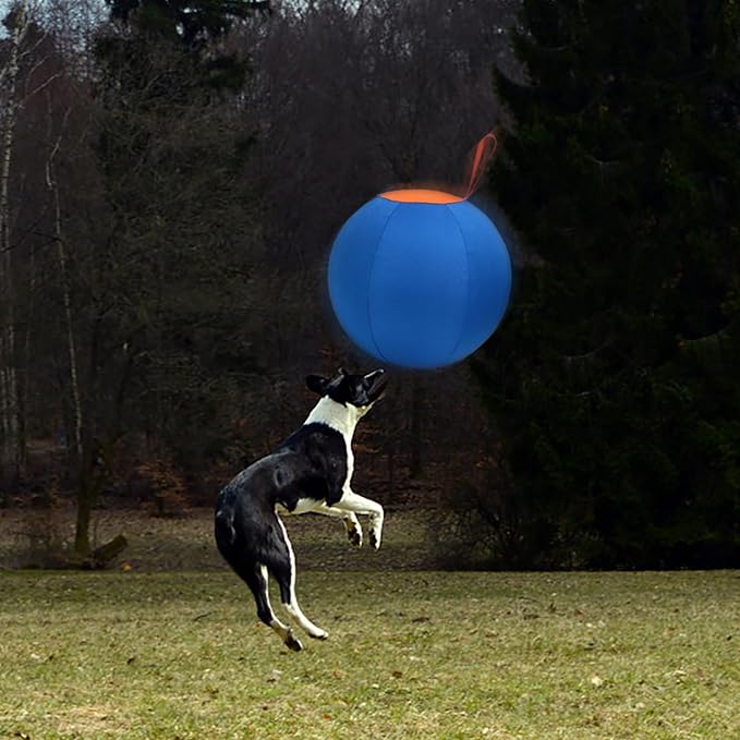 Dog Herding Ball for Dogs & Puppies, Toy Balls for Cattle, Australian Shepherd, Non-Chewing Activities, Large Dog Toy | Oxford Fabric Cover, Pump, with Patch Repair Kit (26 inch)
