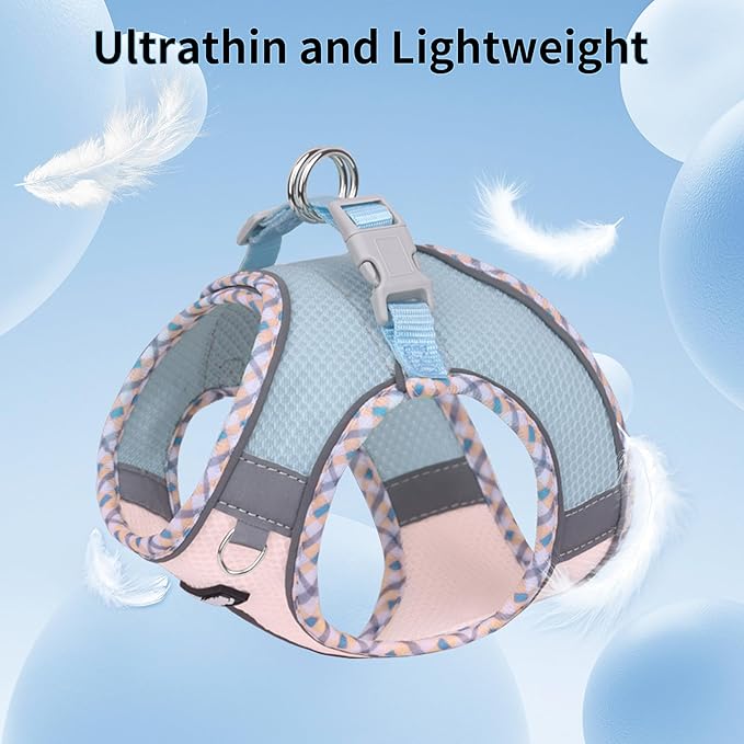 AIITLE Tiny Dog Harness - Lightweight Mesh Step-in Vest for Puppy, Reflective & Escape-Proof Design with High-Stick Magic Tape - Indoor/Outdoor Use for Chihuahua, Maltese, Shih Tzu(Blue-Pink, XXXS)