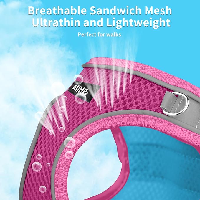 AIITLE Easy Walk Dog Harness and Leash Set - Pet Supply No Pull, Step in Adjustable Pet Harnesses with Padded Vest for Summer, No Choke Over, Easy to Put on Medium Dogs Hot Pink L
