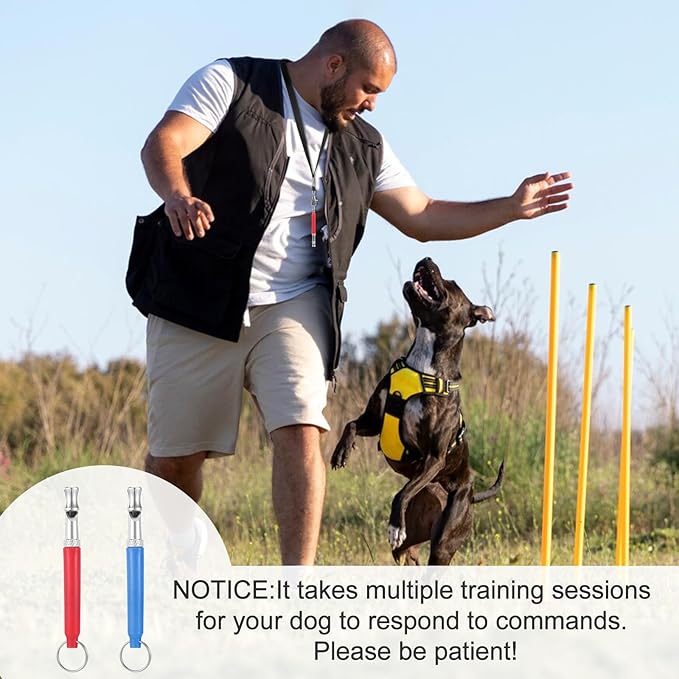 2 Pack Dog Whistle to Stop Barking Neighbors Dog, Professional Adjustable Ultrasonic Silent Dog Whistle for Dog Training Whistle for Recall or Scare Dogs Away with Lanyard (Blue & Red)