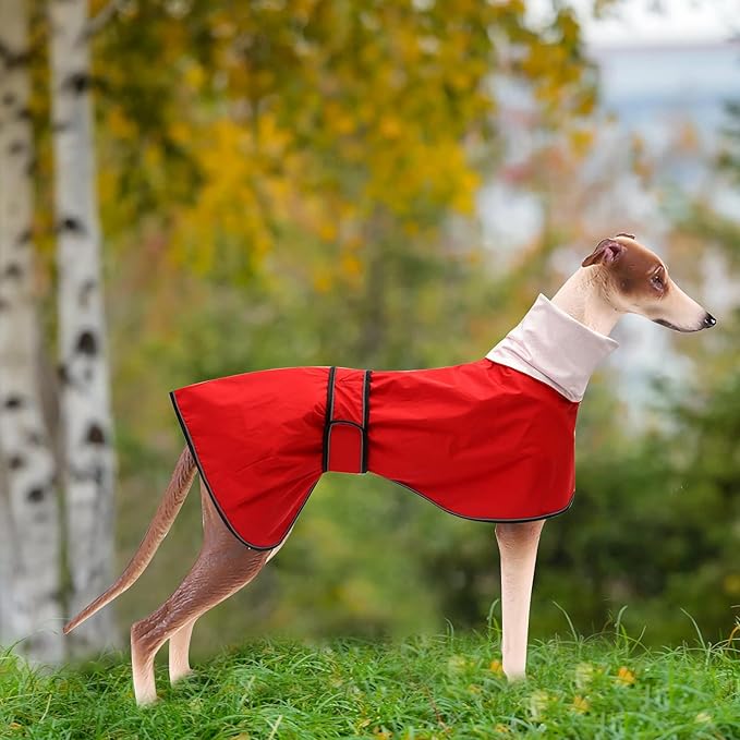 Dog Raincoat with Reflective Bar, Rain/Water Resistant, Adjustable Vest - Dog Raincoats for Greyhounds, Lurchers and Whippets - Red - XL