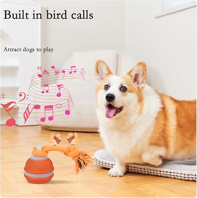Interactive Dog Toys for Small Dogs,Peppy Pet Ball for Dogs,Puppy Toys,Active Rolling Dog Ball,Dog Toys to Keep Them Busy for Daily Training