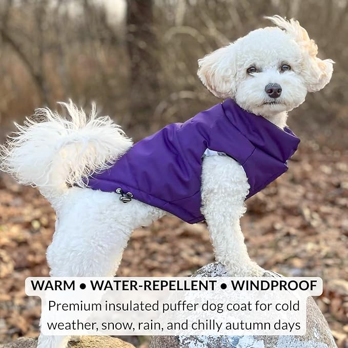 DJANGO Reversible Puffer Dog Coat – Warm Winter Dog Jacket & Water-Repellent Insulated Dog Coat w/Harness Hole, Windproof, Adjustable Fit for Small & Medium Dogs, Dachshunds – Violet Purple, Large
