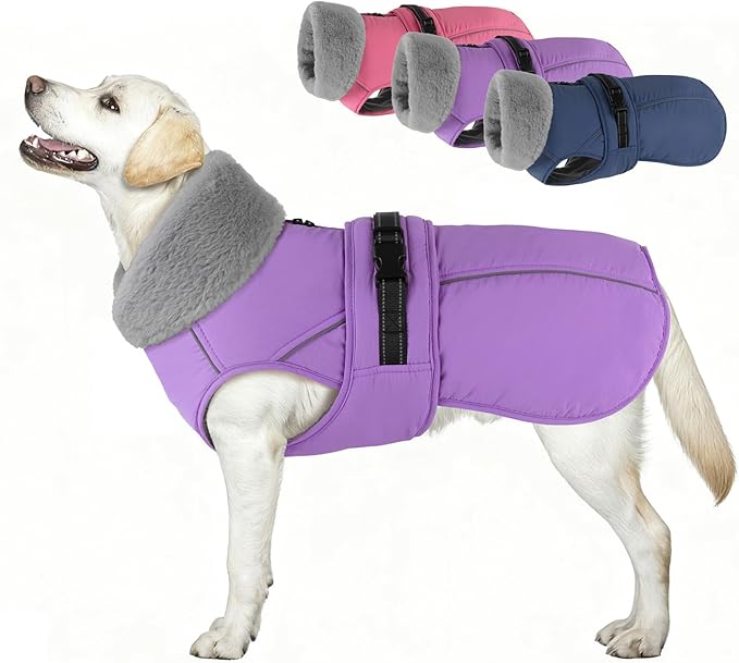 PETDSH Dog Coat Large, Windproof Dog Jacket with Warm Fleece Lining, Thickened Collar Dogs Winter Coat, Adjustable Reflective Pet Coats for Cold Weather (Purple, X-Large)