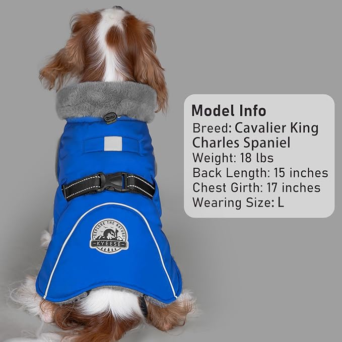 KYEESE Waterproof Dog Coat, Windproof Warm Winter Jacket with Thick Fleece Lined, Turtleneck Dog Coats for Small Dogs with Leash Hole, Reflective Outdoor Cold Weather Coat, Blue, Medium