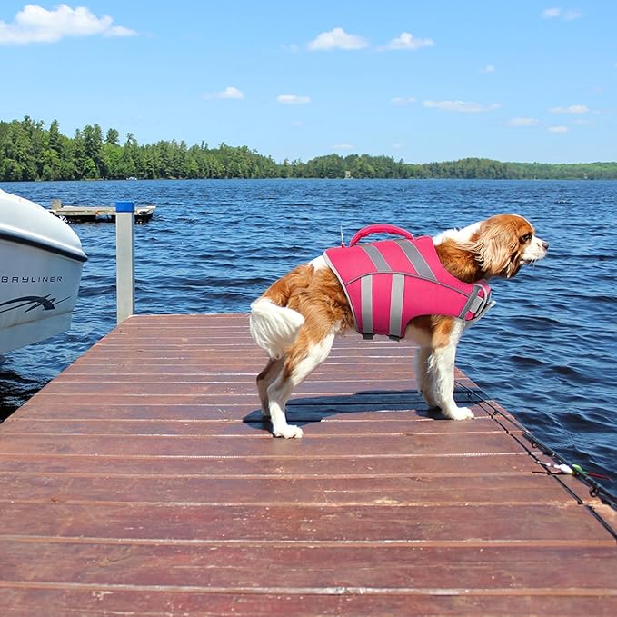 Kuoser Small Dog Life Jacket High Flotation, Reflective Puppy Water Vest for Swimming Boating, Adjustable Doggie Life Preserver Rescue Handle for Summer, Pink S