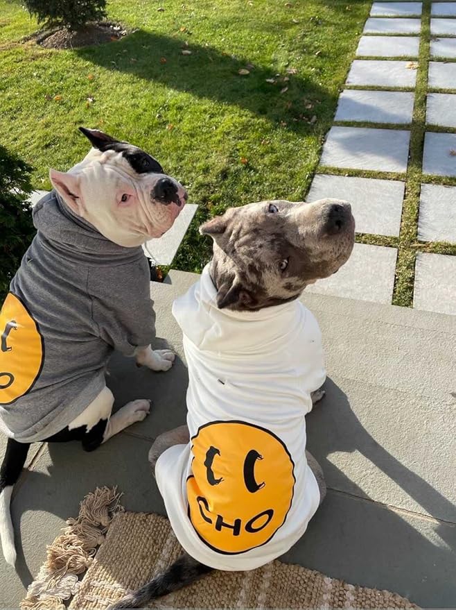 ChoChoCho Smiley Dog Hoodie Stylish Dog Clothes Smiley Face Sweater Cotton Sweatshirt Fashion Outfit for Dogs Cats Puppy Small Medium Large (L, Grey)