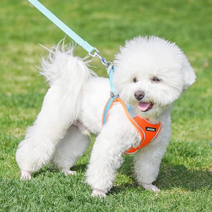 AIITLE Step in Dog Harness and Leash Set - Summer No Pull Escape Proof Vest Harnesses with Soft Mesh and Reflective Bands, Adjustable Pet Outdoor Harnesses for Small and Medium Dogs Orange M