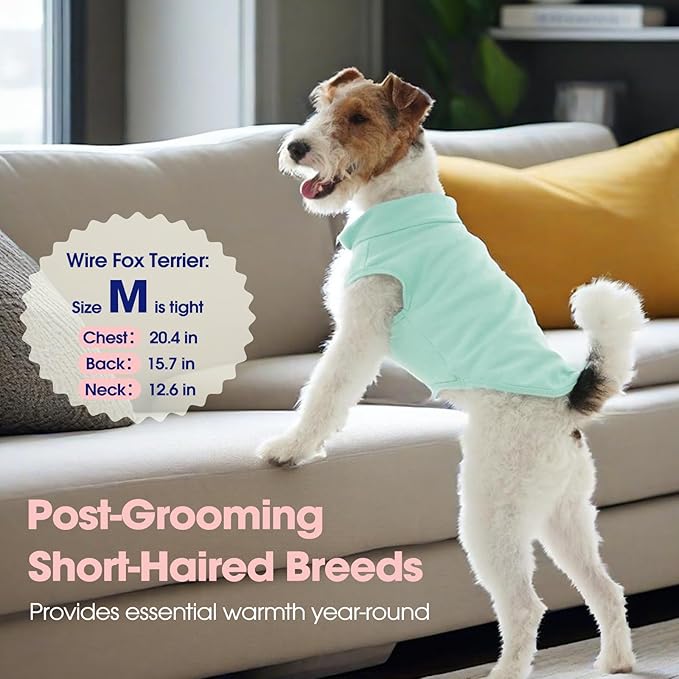 FUAMEY Dog Fleece Vest for Small Dogs,Warm Stretchy Dog Sweatshirts Pullover with Leash Hole Dogs Sweater Soft Pet Turtleneck Cozy Pet Vest Lightweight Sleeveless Blue S