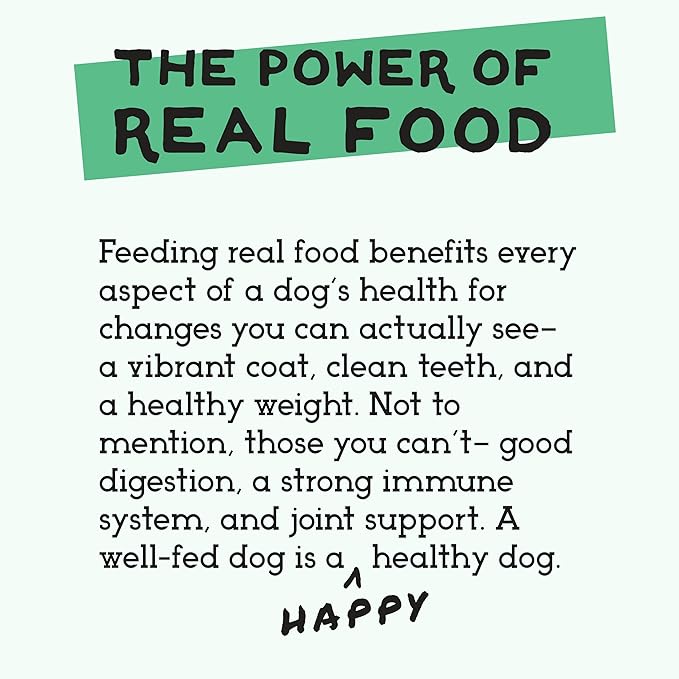 Simple Food Project - Bison Recipe - Freeze Dried Raw Food for Dogs - 48oz