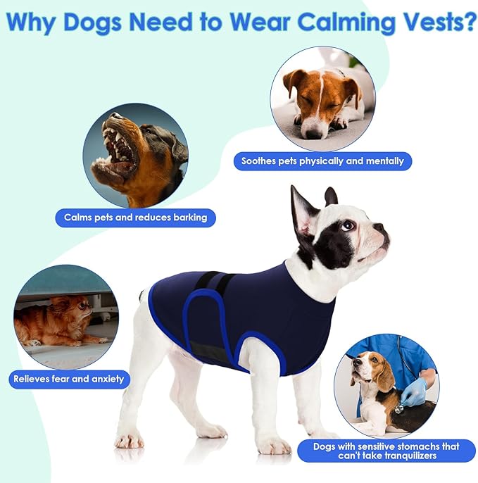 MIGOHI Dog Anxiety Relief Coat,Comfort Anxiety Vest for Dogs,Adjustable Anxiety Calming Wrap for Fireworks,Thunderstorms,Travel, Separation, Dog Anxiety Jacket for Small Dogs,XL,NavyBlue