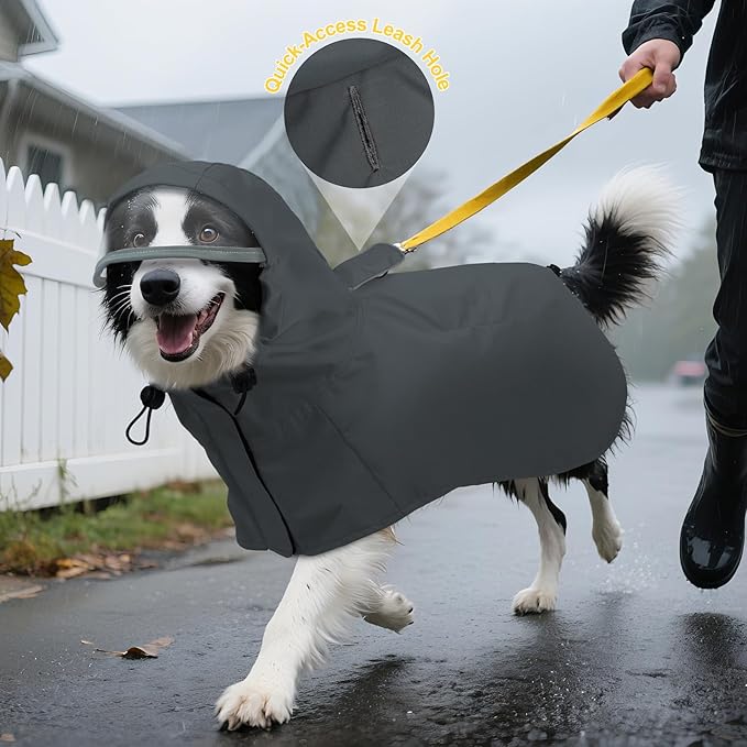 DENTRUN Dog Rain Jacket for Poodle, Bichon – Breathable Mesh Lined, No-Sleeves Easy Wear – Perfect for Rainy Day Walks, Park Visits, Travel, M