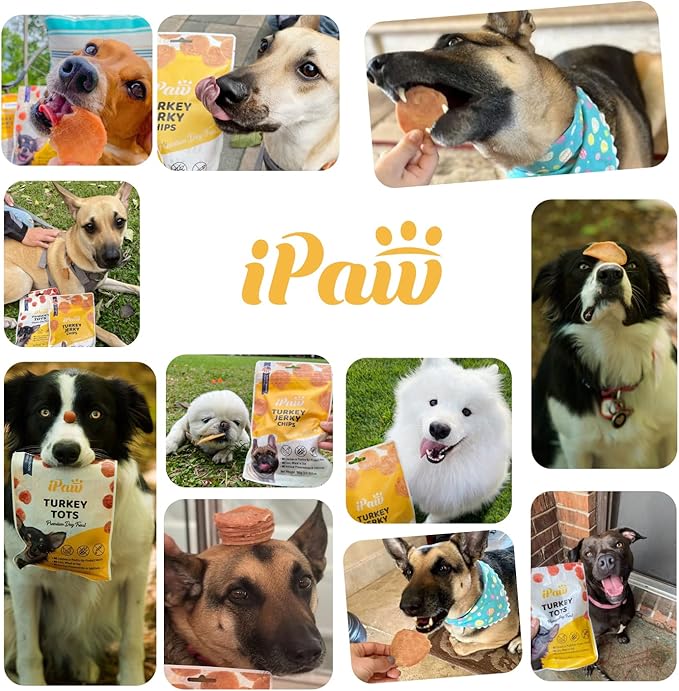 iPaw Chicken Tots Dog Treats for Puppy Training, All Natural Human Grade Dog Treat, Hypoallergenic, Easy to Digest (Chicken Tots)