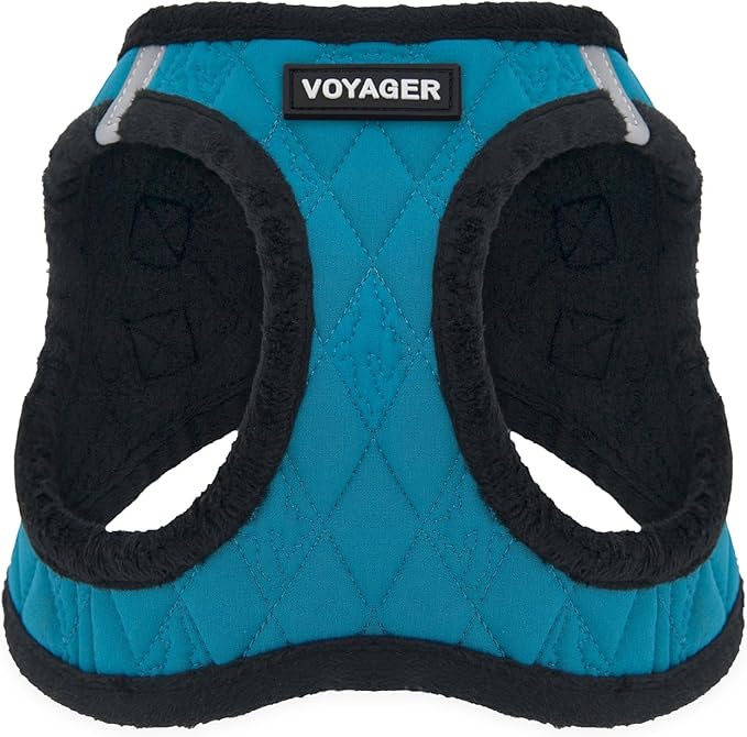 Best Pet Supplies - All Weather Mesh / Plush, Reflective, No Pull Harness for Small, Medium Dogs, Cats - Secure with Hook & Loop Fastener, Buckle, Double D-Rings - Turquoise Plush, XS