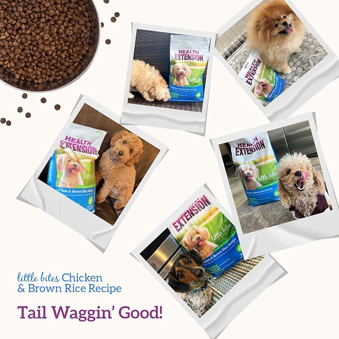 Health Extension Little Bites Dry Dog Food for Toy and Small Breeds, Chicken & Brown Rice Recipe, with Probiotics & Superfoods for Digestion & Coat Health, 18 lb Bag (Pack of 1)
