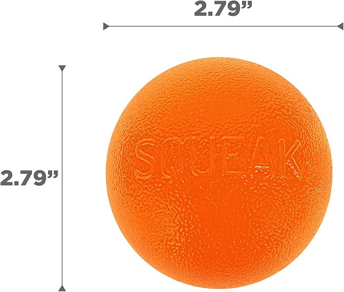 Outward Hound by Planet Dog Squeak Ball Bouncy Fetch Dog Toy, Orange