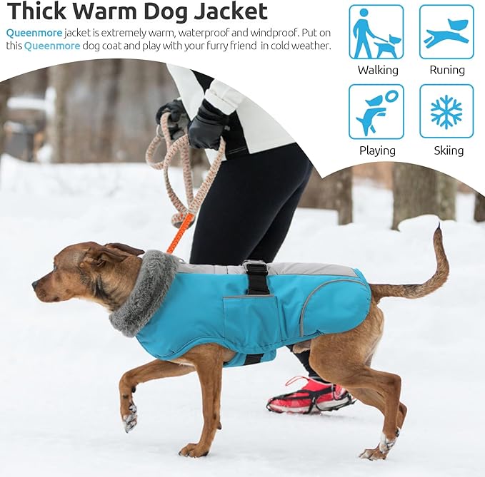 Queenmore Winter Dog Jackets, Dog Coats for Small Puppy, Warm Reflective Winter Dogs Coat, Waterproof Fall Pet Coats, Blue, S