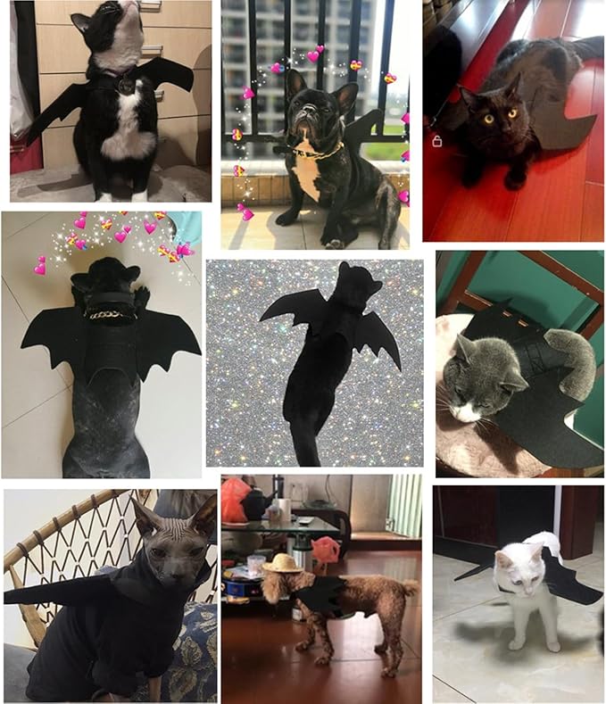 Pet Cat Bat Wings for Halloween Party Decoration, Dog Cosplay Bat Costume,Puppy and Cat Dress Up Accessories (Black, Medium)
