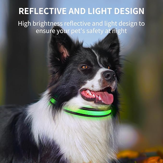 AirTag Dog Collar with QR Code & LED Light, IP68 Waterproof Rechargeable LED Pet Collar with Reflective Strips, Durable Airtag Holder for Medium/Large Dogs, DIY Pet Information(Green, M(16-20 in))