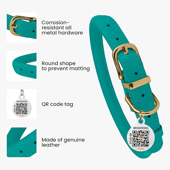 BronzeDog Rolled Leather Dog Collar with QR ID Tag, Adjustable Soft Round Collars for Small Medium Large Dogs Puppy (16" - 19" Neck Size, Turquoise)