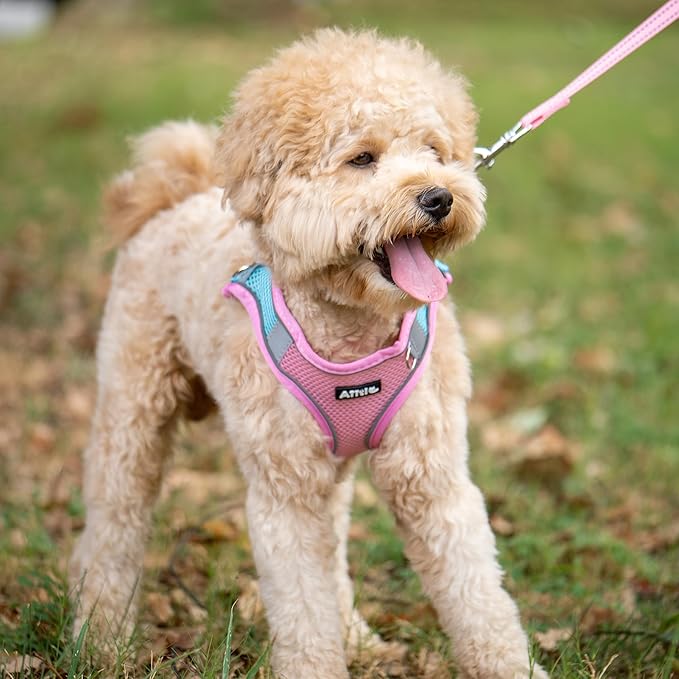 AIITLE Step in Dog Harness and Leash Set - Summer No Pull Escape Proof Vest Harnesses with Soft Mesh and Reflective Bands, Adjustable Pet Outdoor Harnesses for Small and Medium Dogs Pink M