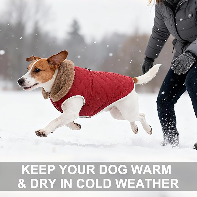 BEAUTYZOO Winter Dog Vest Coat with Harness Built in, Warm Puppy Jacket for Small Medium Dogs, Lightweight Cold Weather Small Dog Coat, Fleece Puffer Vest Windproof Snowproof Pet Clothes, Wine Red M