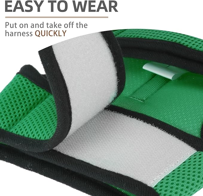 PUPTECK Soft Mesh Cat Vest Harness and Leash Set Puppy Padded Pet Harnesses Escape Proof for Cats Small Dogs Rabbits Bunny