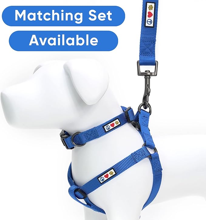 Pawtitas Personalized Dog Leash Embroidered Customize with Your Pet Name & Phone Number Puppy 6 ft Long Extra Small Blue Custom Engraved Blue ✅ Solid Customized 2XS (Pack of 1)