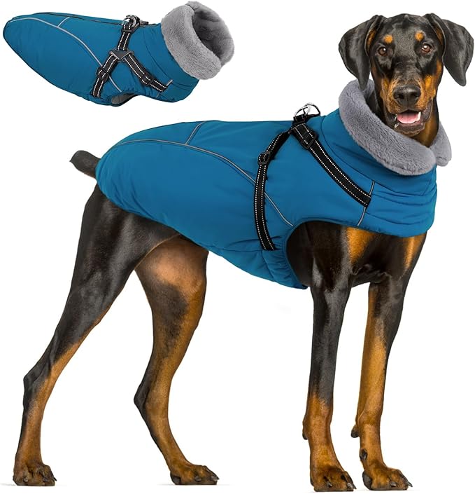 Queenmore Large Dog Jackets,Dog Coats for Extra Large Dogs with Harness Built in,Reflective Waterproof Dogs Jackets with Fleece Lining,Warm Snowsuit Pet Coats for German Shepherd,Blue,XXXL