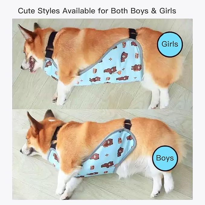 Waterproof Belly Shield for Corgis & Dachshunds – Adjustable underbelly Protector. Male/Female Designs. Stays Dry in rain, mud & Grass. Ideal for Sensitive Skin (Blue - Male, M)